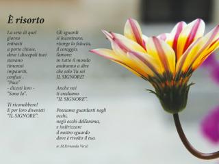 Buona Pasqua 2012!