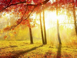 Memorie d’autunno