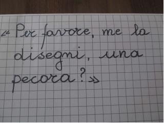 "Non si vede bene che con il cuore" . Piccolo Principe