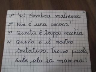 "Non si vede bene che con il cuore" . Piccolo Principe