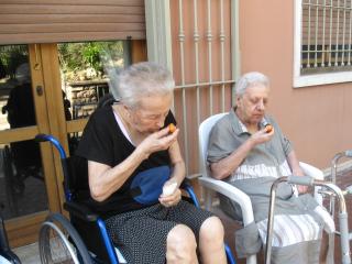 Raccogliamo i frutti!