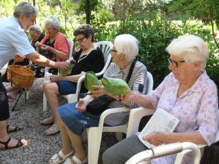 Raccogliamo i frutti!