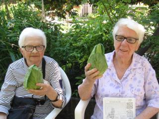 Raccogliamo i frutti!