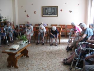 Raccogliamo i frutti!