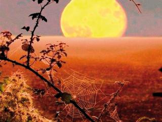 Astro nella notte